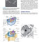 Jawetz Melnick & Adelbergs Medical Microbiology 28 E